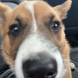 Meet your Posher, Monkey D Gunk